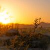 Vitamin D3 gummies for mood, bone health, and immune support