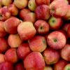 ACV gummies for metabolism, digestion, and energy